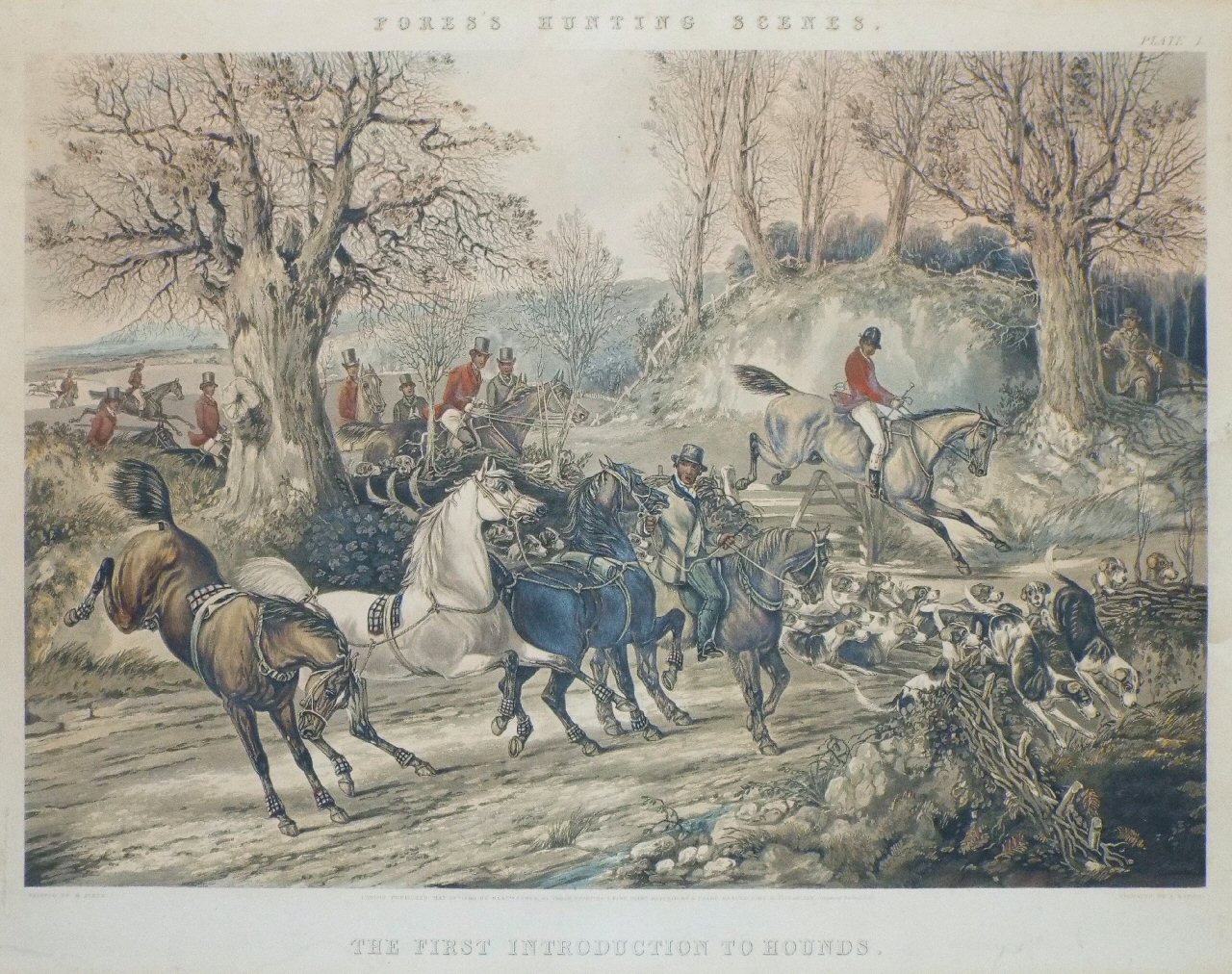Aquatint - Fores's Hunting Scenes. The First Introduction to Hounds. - Harris